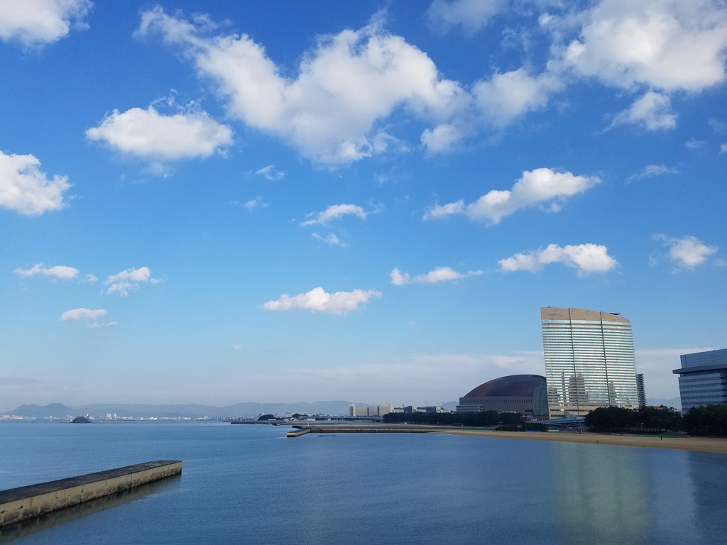 空に動物？
