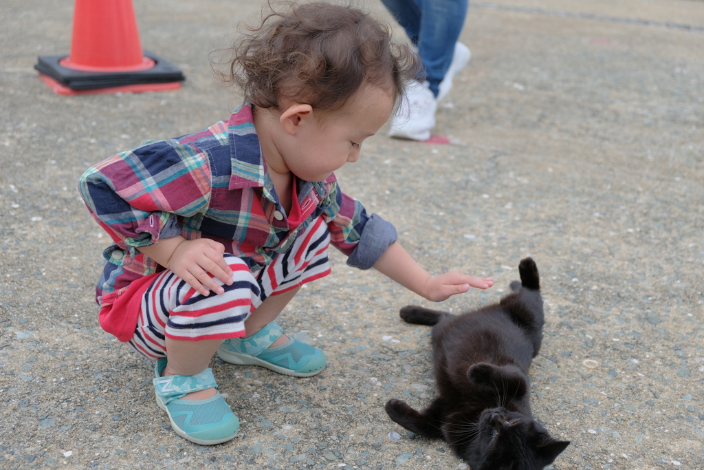 子の子と猫2
