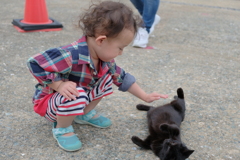 子の子と猫2