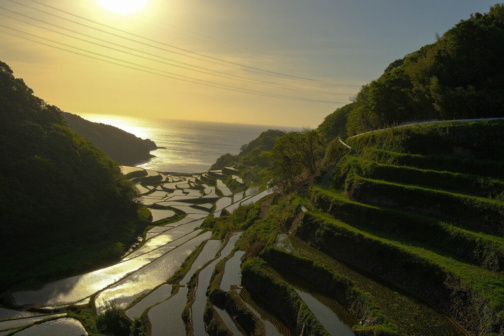 浜野浦の棚田