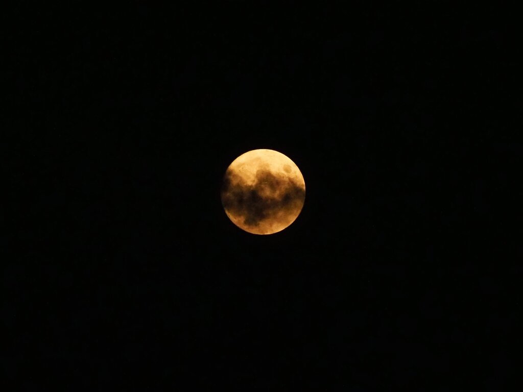 霞月