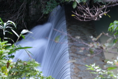 小さな滝