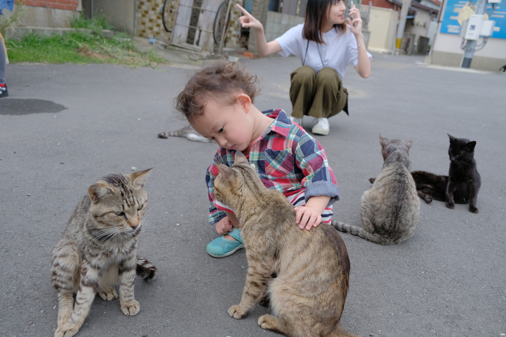 子の子と猫4