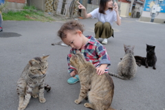 子の子と猫4
