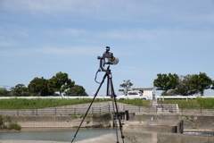 ナイン