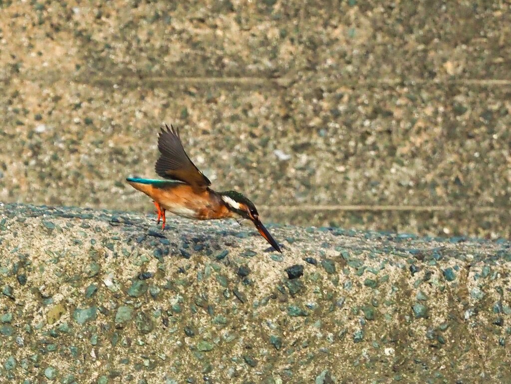 キックオフ