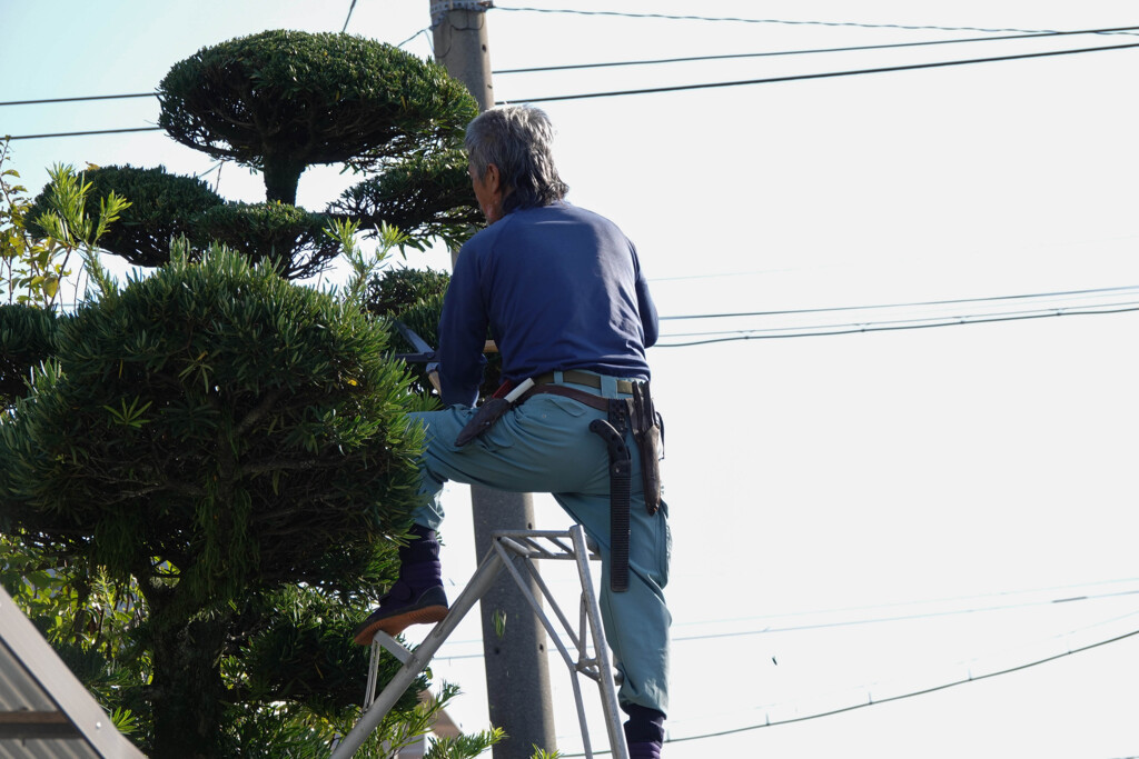 職人さん