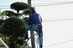 職人さん