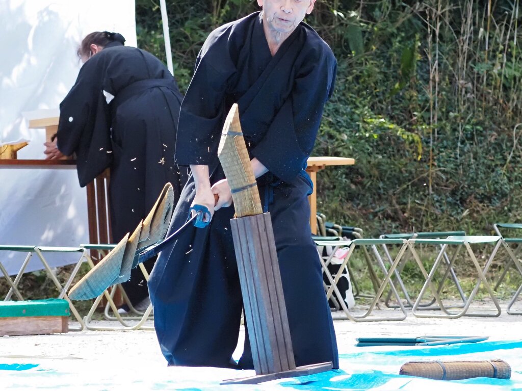 燕返し？