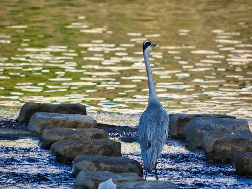 PA032097