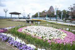 花と城