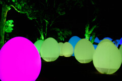 光の祭
