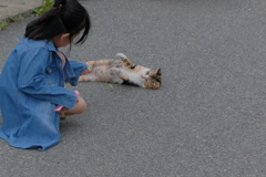 猫と遊ぶ