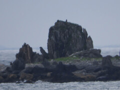 潜水艦島の左側