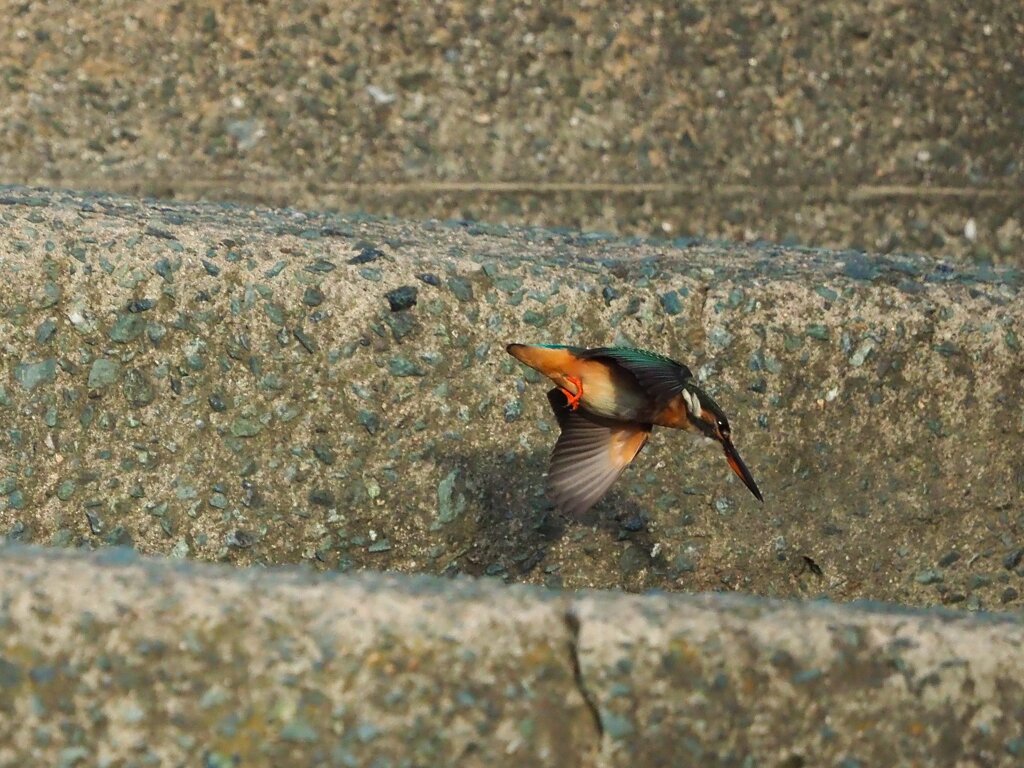 下降②