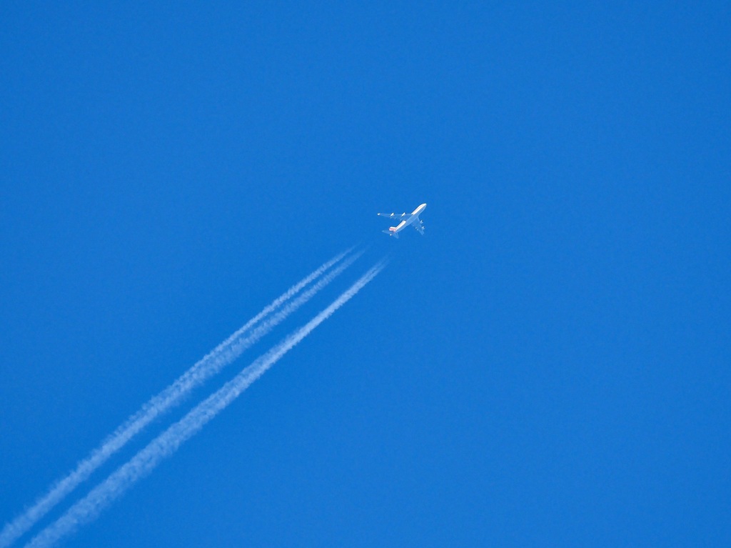 飛行機