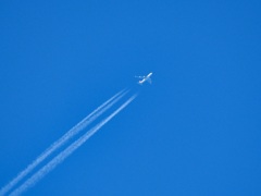 飛行機
