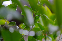 雨のちテスト2