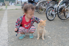 子の子と猫（相島）1