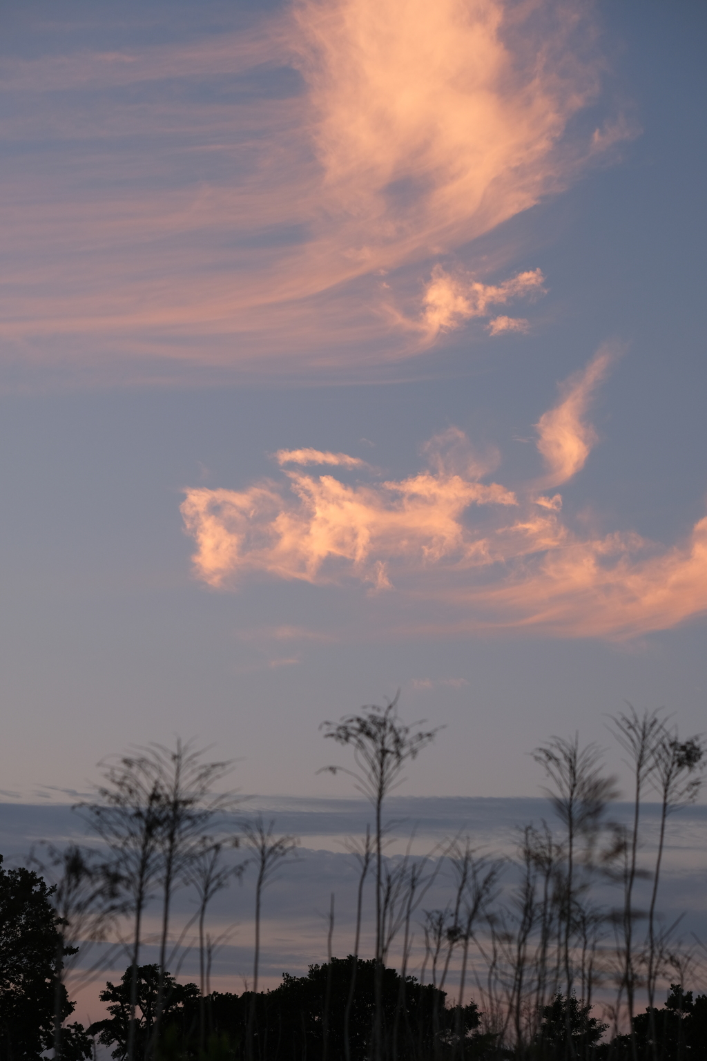 板付の空