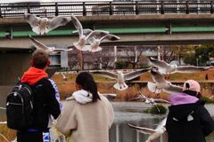 元旦の一コマ
