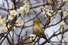 期待した通りに