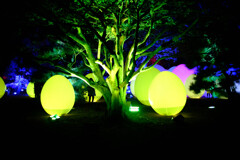 光の祭