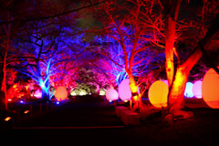 光の祭