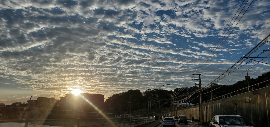 今朝の空