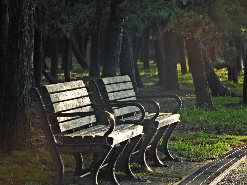 海を眺めるベンチ