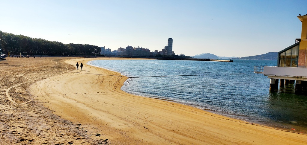 秋の海岸