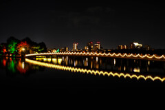 橋イルミ（大濠公園）