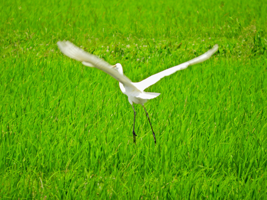 飛び立ちの時