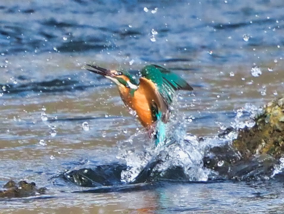 浮上