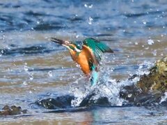 浮上