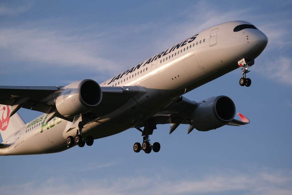 JAL　2