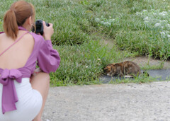猫を撮る