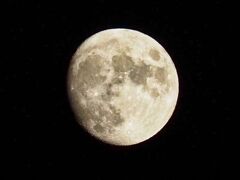 昨日の月