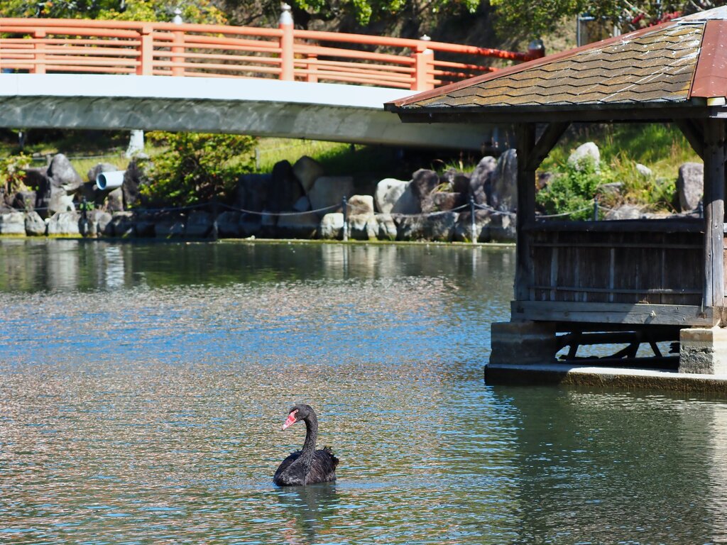 勝盛公園
