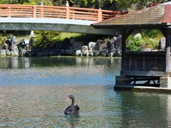 勝盛公園