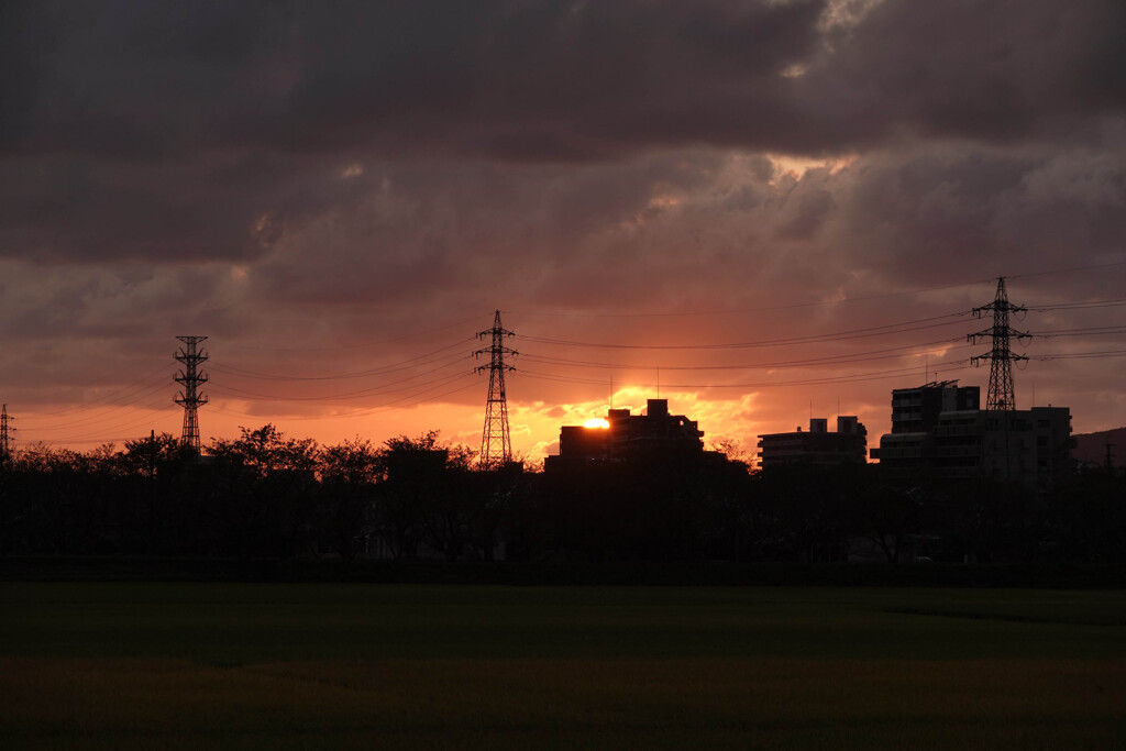 覗く夕日