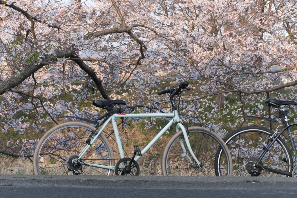 DSCF9684