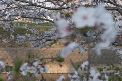 DSCF9682