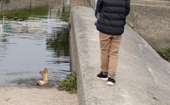 釣れた