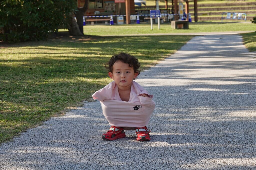 うちの子撮り