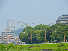 また戻ってくるね～