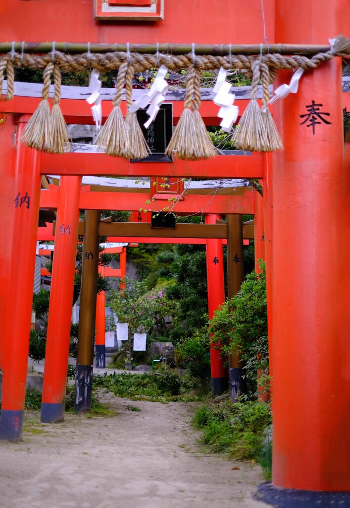 赤い鳥居
