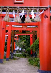 赤い鳥居