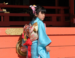 七五三（宇佐神宮）
