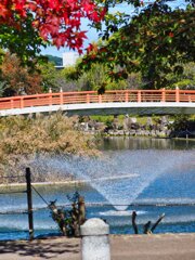 勝盛公園